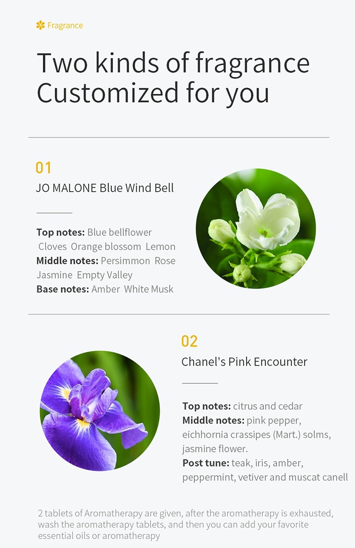 Rechargeable Air Freshener for Cars